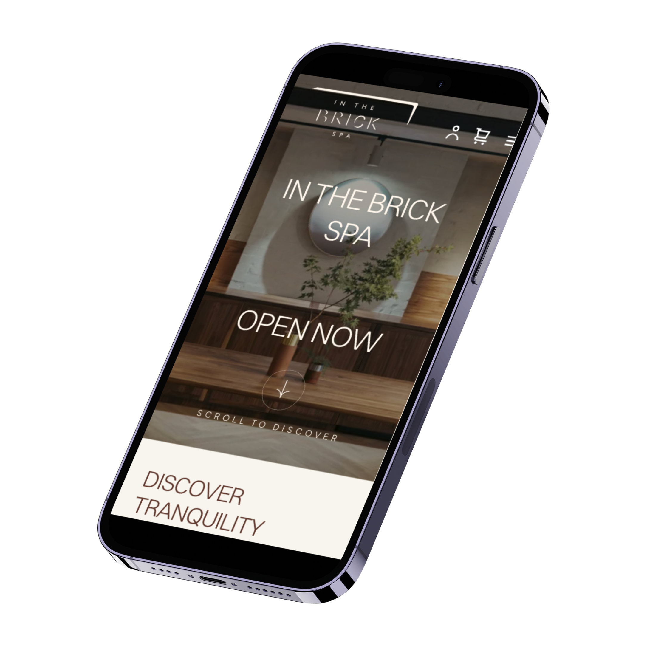 Ptech Website Services Jina